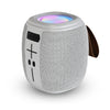 Portable Speaker FS-S130