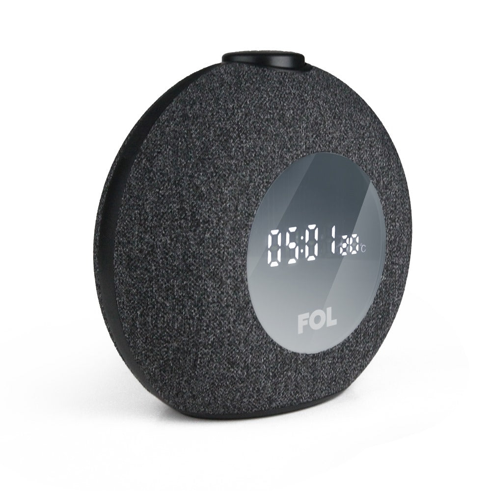 Portable Speaker FS-R216